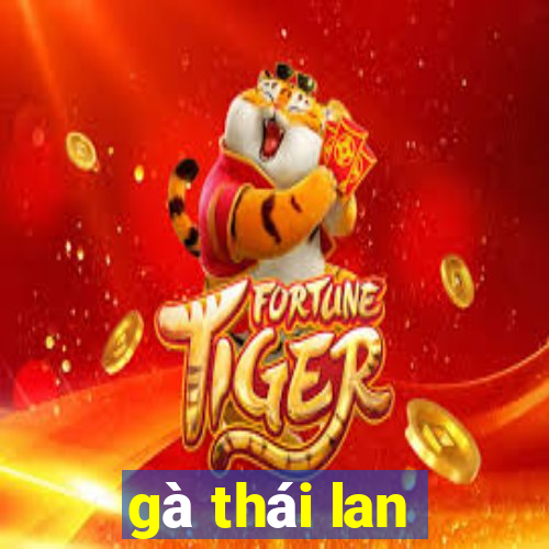 gà thái lan