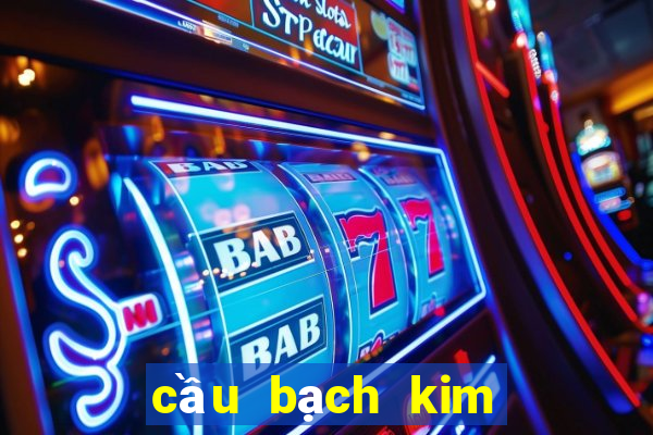 cầu bạch kim miền bắc