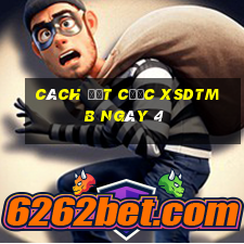 Cách đặt cược XSDTMB ngày 4