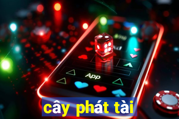 cây phát tài