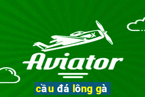 cầu đá lông gà