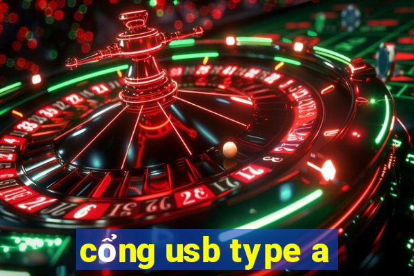 cổng usb type a