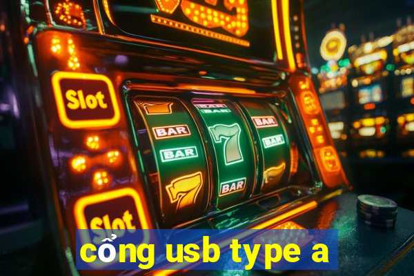 cổng usb type a