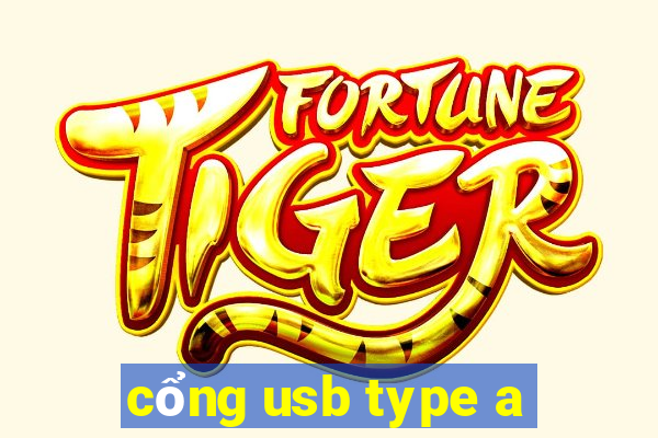 cổng usb type a