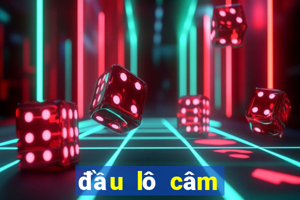 đầu lô câm đánh con gì