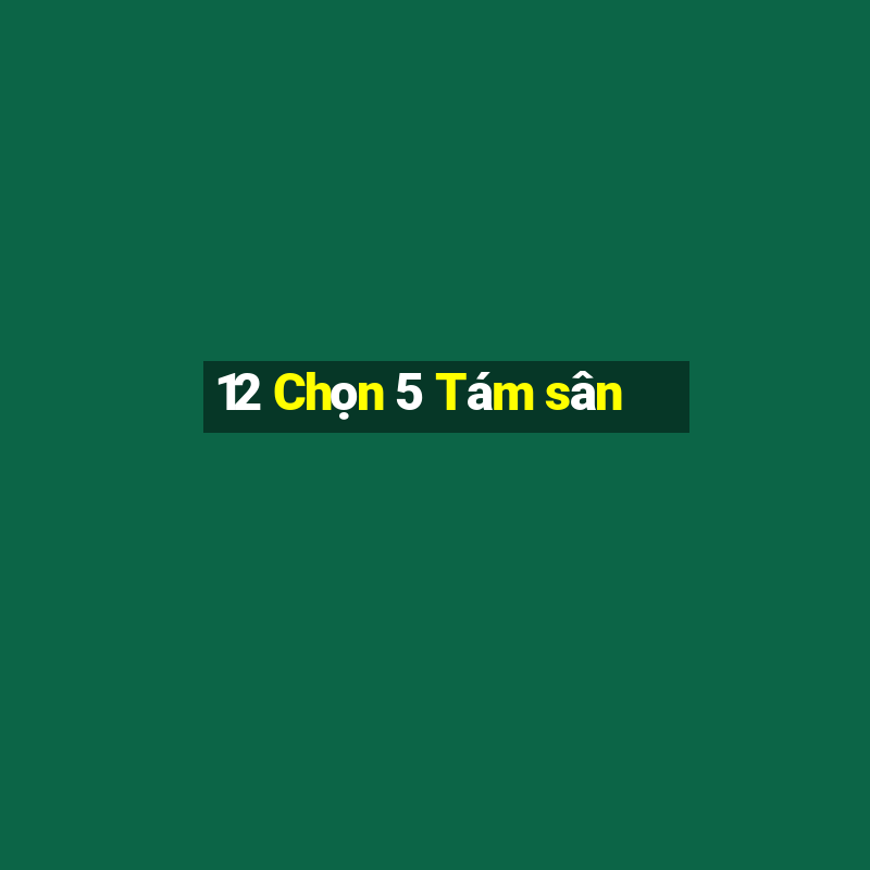 12 Chọn 5 Tám sân