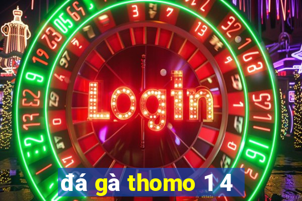 đá gà thomo 1 4