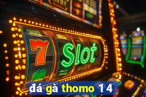 đá gà thomo 1 4