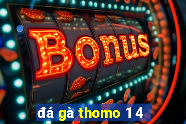 đá gà thomo 1 4