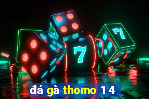 đá gà thomo 1 4