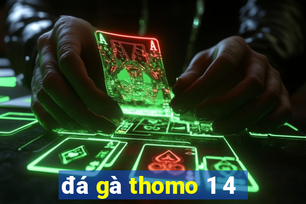 đá gà thomo 1 4