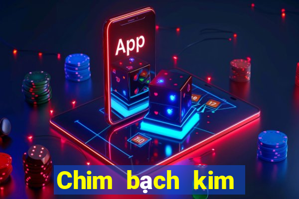 Chim bạch kim chạy nhanh