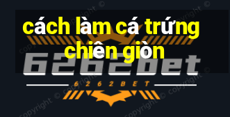 cách làm cá trứng chiên giòn