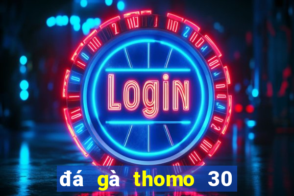 đá gà thomo 30 tháng 9