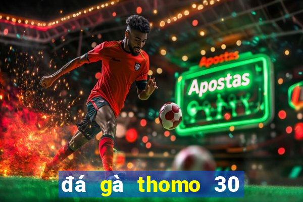 đá gà thomo 30 tháng 9