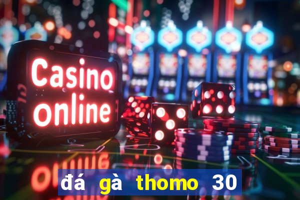 đá gà thomo 30 tháng 9