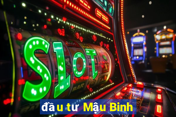 đầu tư Mậu Binh