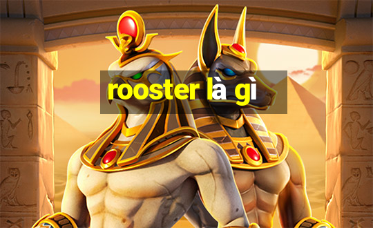 rooster là gì