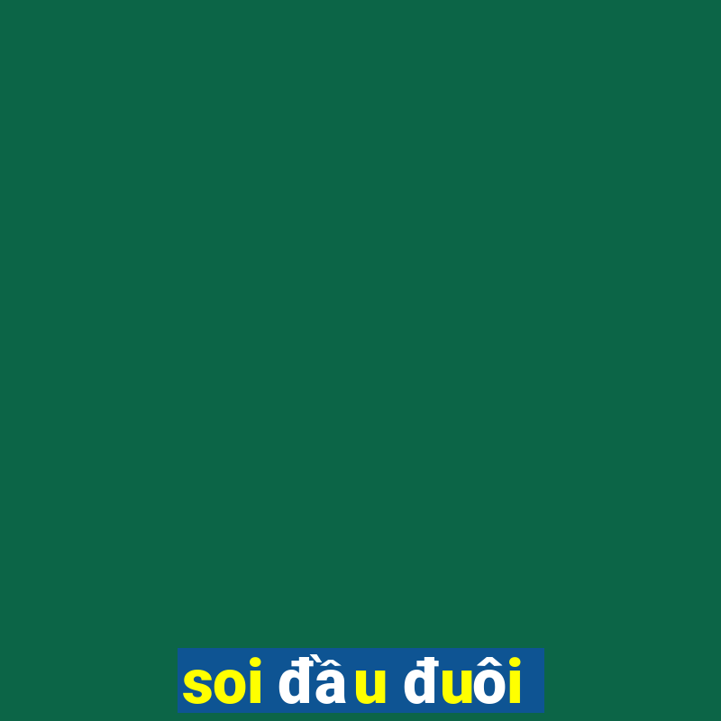 soi đầu đuôi