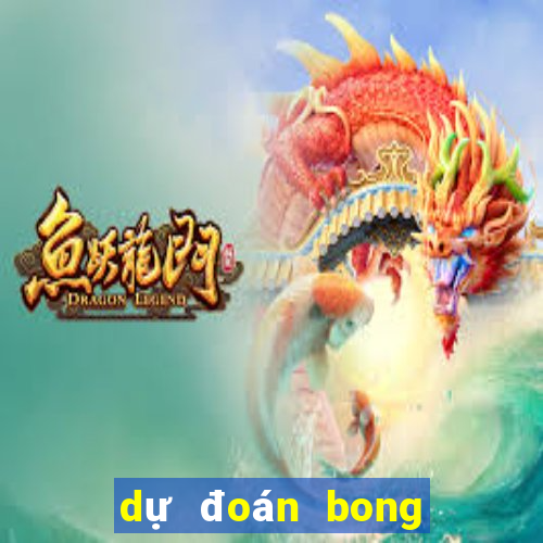 dự đoán bong da hom nay