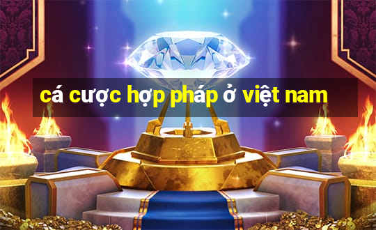 cá cược hợp pháp ở việt nam