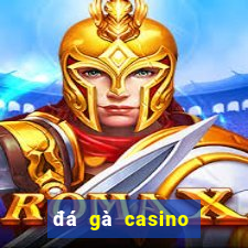 đá gà casino đá gà casino