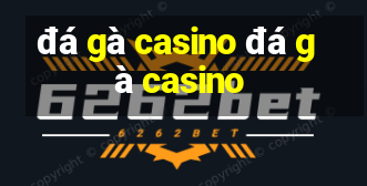 đá gà casino đá gà casino