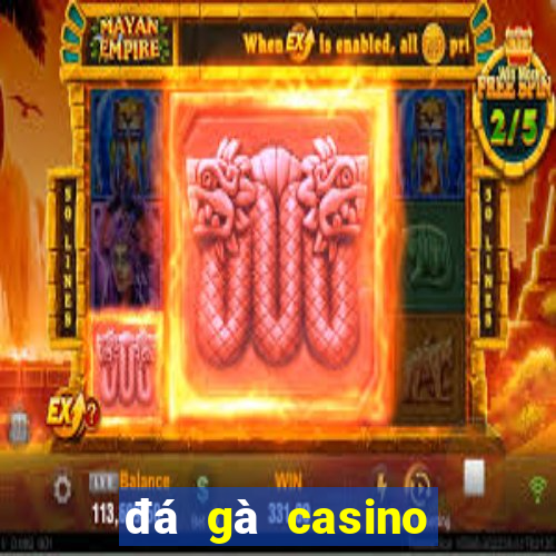 đá gà casino đá gà casino