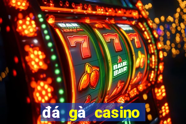 đá gà casino đá gà casino