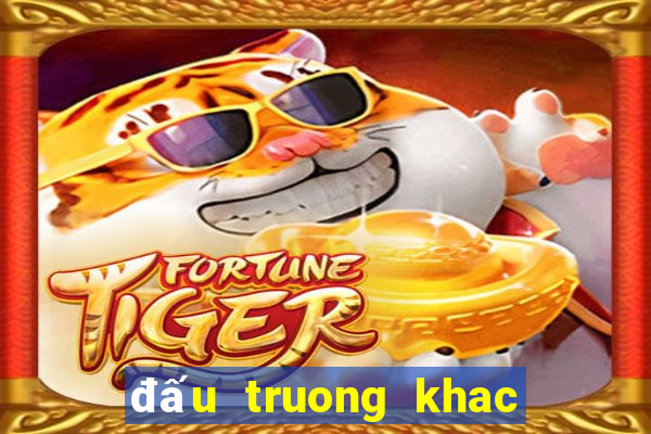 đấu truong khac nghiet 2