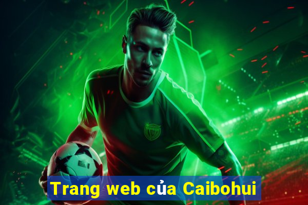 Trang web của Caibohui