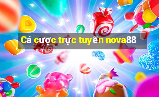 Cá cược trực tuyến nova88