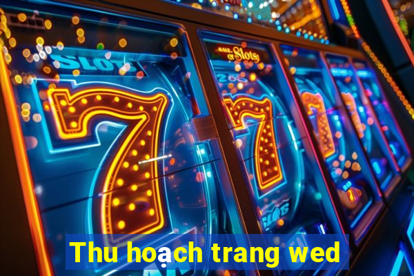 Thu hoạch trang wed