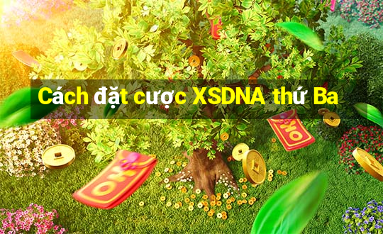 Cách đặt cược XSDNA thứ Ba