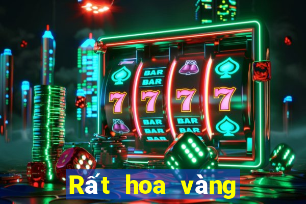 Rất hoa vàng Fun88 tải về