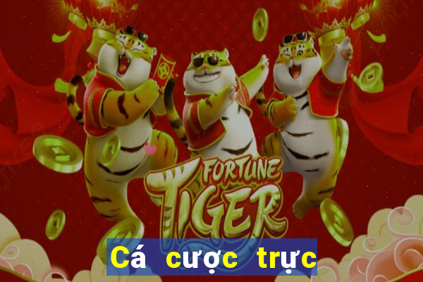 Cá cược trực tuyến 68lottery