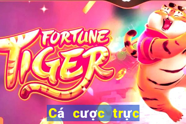 Cá cược trực tuyến 68lottery