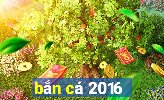 bắn cá 2016