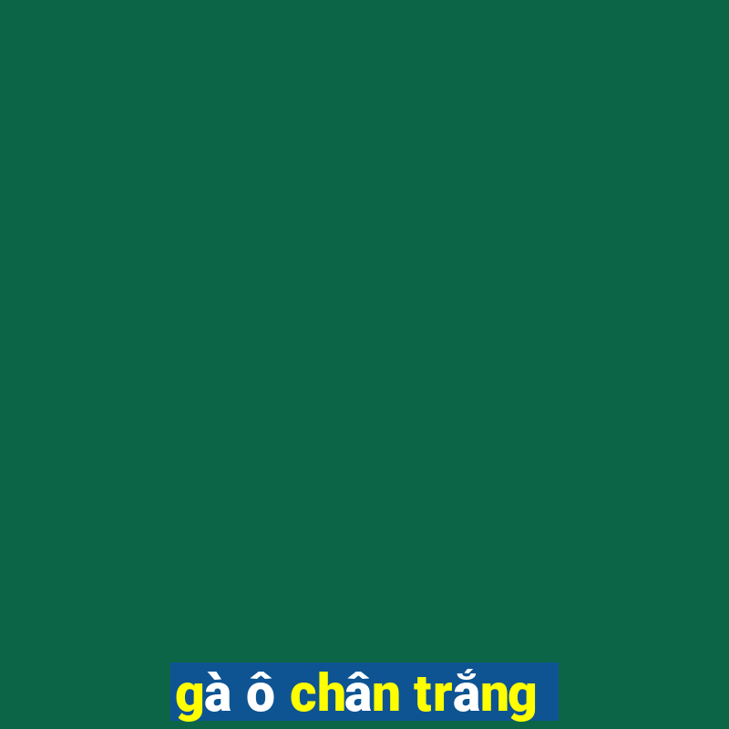 gà ô chân trắng