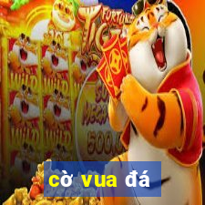 cờ vua đá