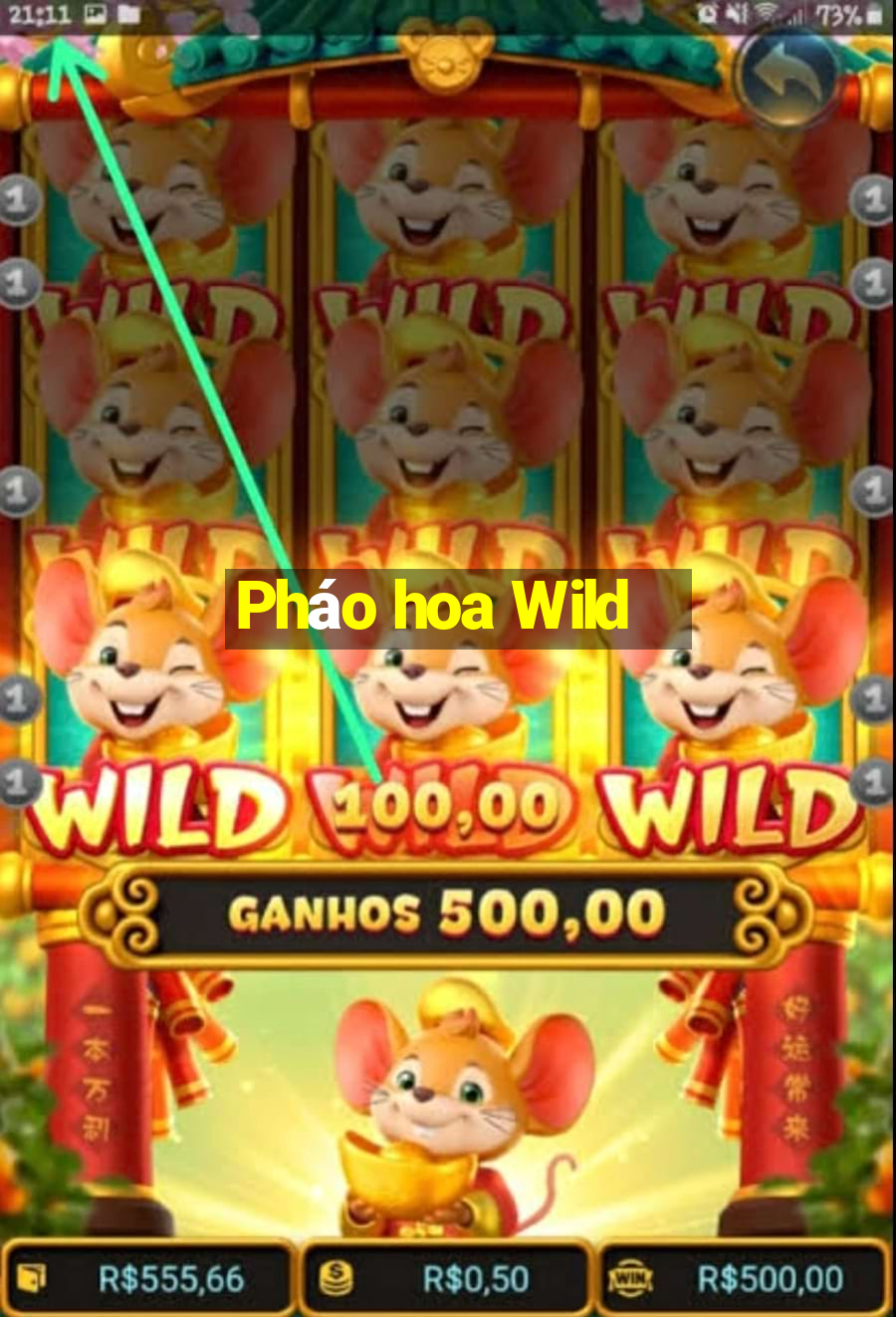 Pháo hoa Wild