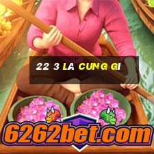 22 3 là cung gì