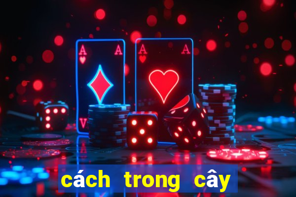 cách trong cây đuôi chuột