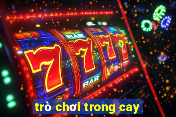 trò chơi trong cay