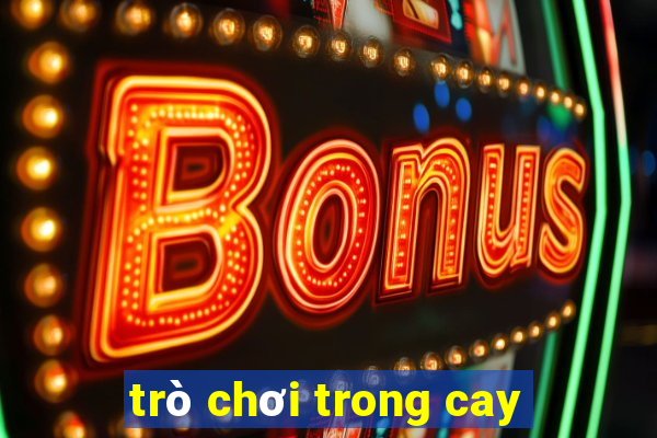 trò chơi trong cay