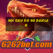 soi cau xo so daklak