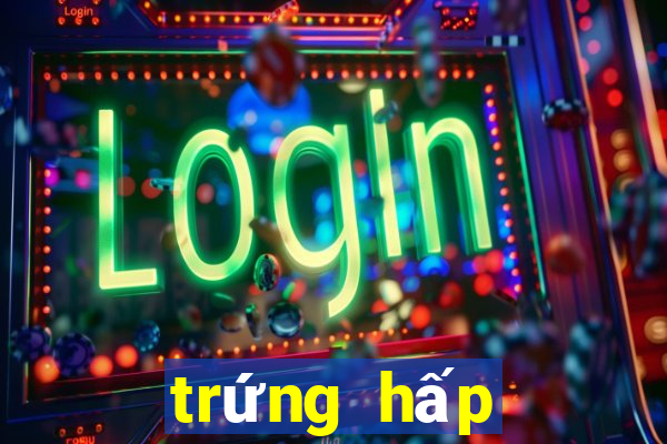 trứng hấp đậu hũ non