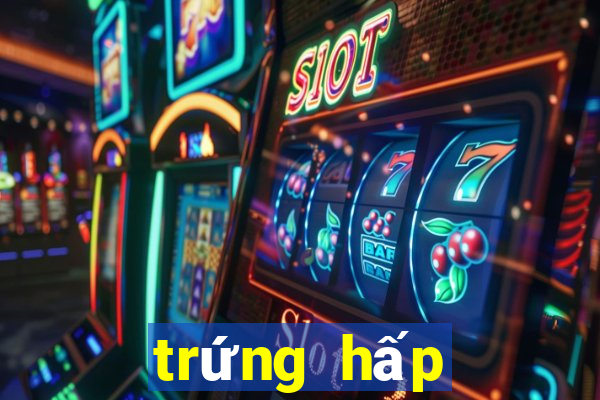 trứng hấp đậu hũ non