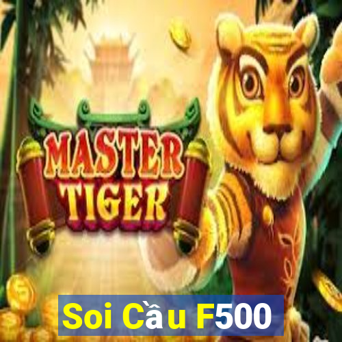 Soi Cầu F500