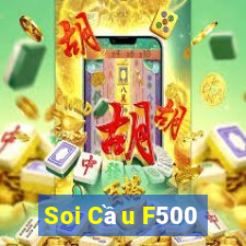 Soi Cầu F500